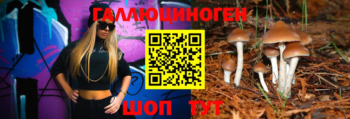 Псилоцибиновые грибы GOLDEN TEACHER  Вход с VPN  Верхняя Салда 