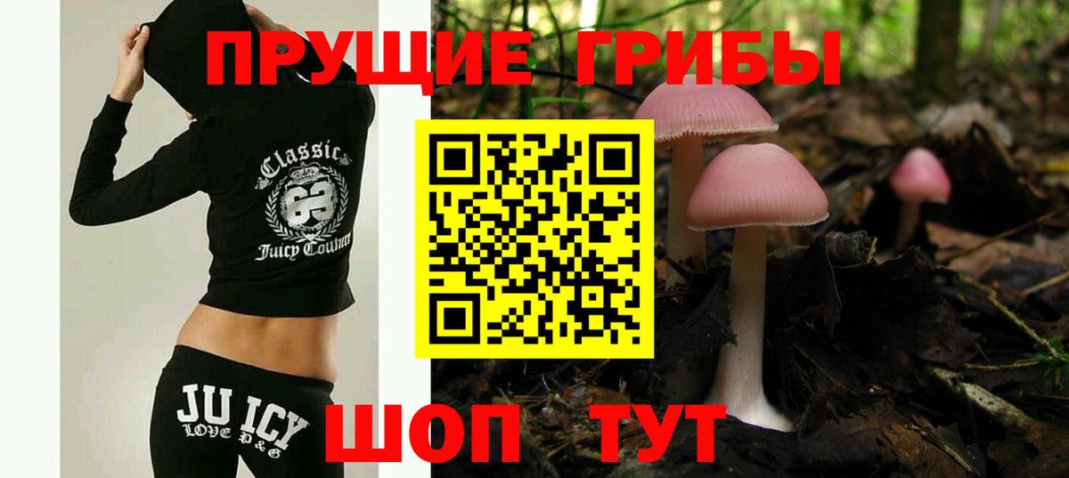 Псилоцибиновые грибы Cubensis Верхняя Салда